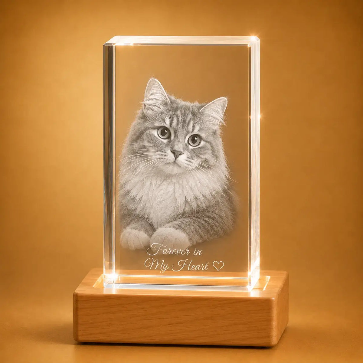 Portrait 3D crystal pet memorial displayed upright