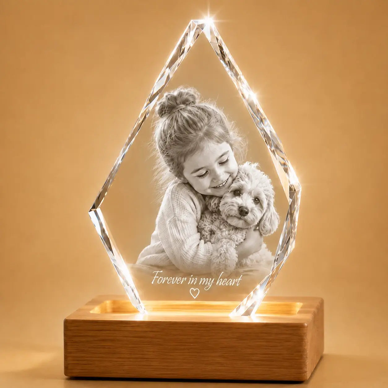Custom 3D crystal pet memorial gift, a timeless crystal keepsake for beloved pets.