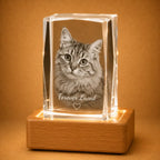 Faceted crystal cube gifts for pet lovers, perfect for personalised gifts and pet photo gifts.