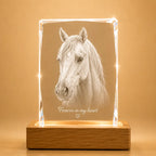 Faceted portrait crystal gift for pet lovers, ideal for pet photo gifts and memorial gifts.