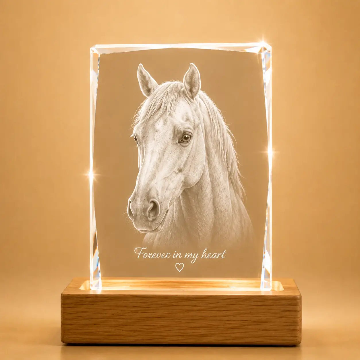 Faceted portrait crystal gift for pet lovers, ideal for pet photo gifts and memorial gifts.