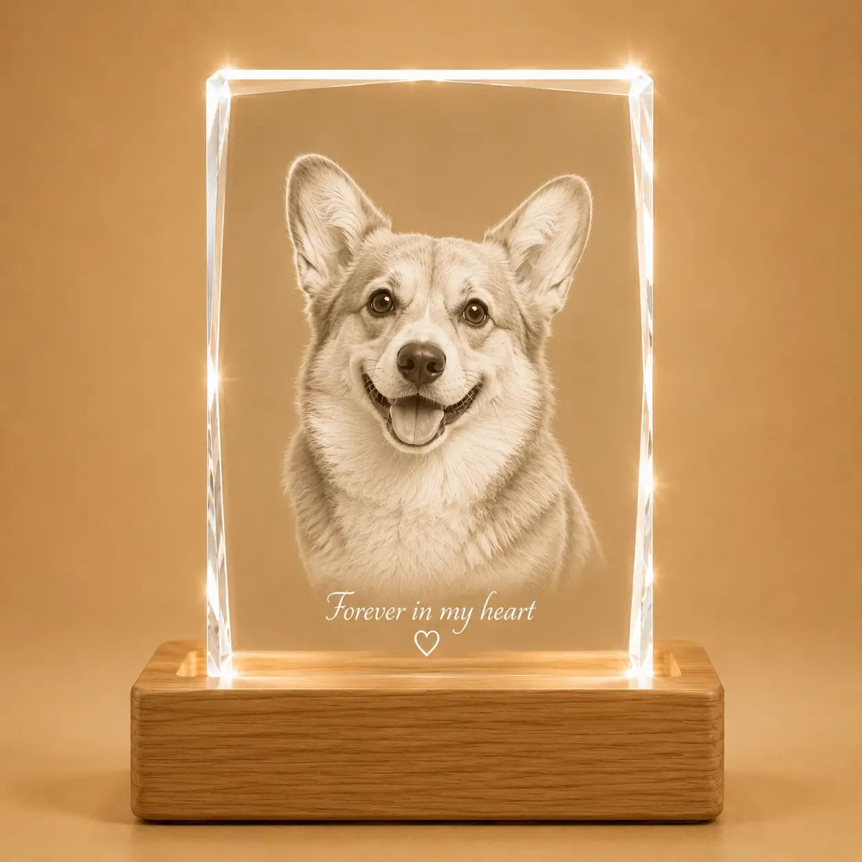 Faceted portrait pet photo 3D crystal gift, ideal for personalised gifts and crystal gifts.