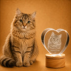 Personalised cat photo 3D crystal heart, perfect for pet photo gifts and lasting crystal keepsakes.