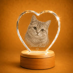 Faceted 3D crystal heart pet memorial gift, a lasting crystal keepsake for treasured pet memories.