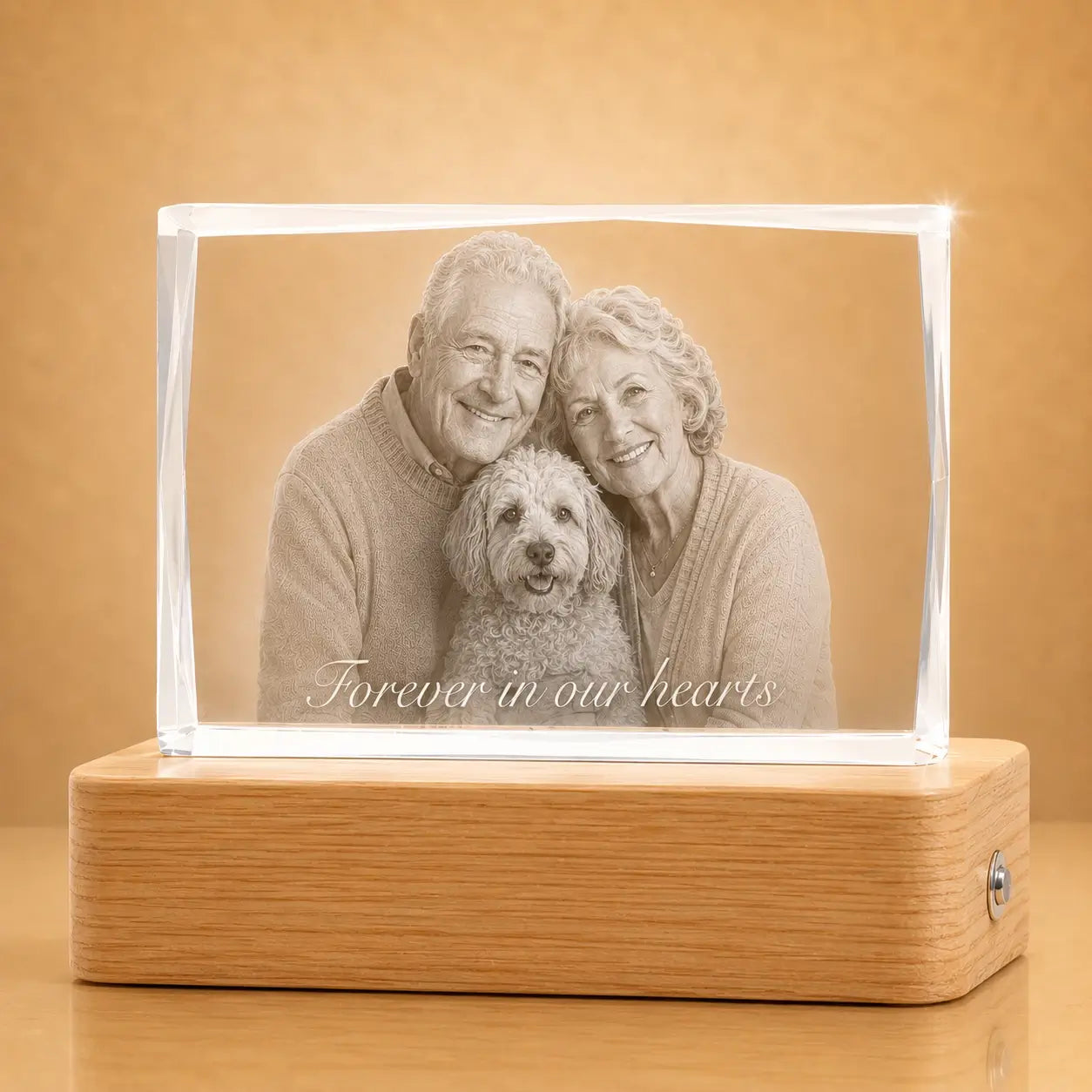Pet memorial gifts in faceted 3D crystal Australia, designed as timeless crystal gifts for pet memories.