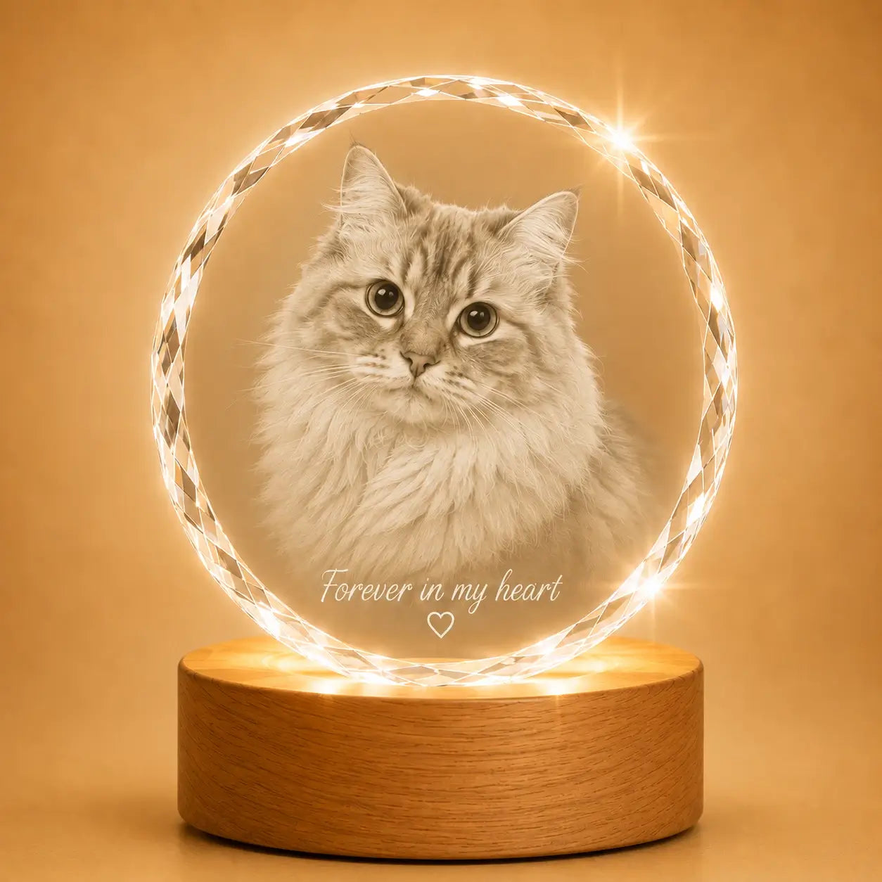 Pet memorial gifts in faceted round crystal Australia, designed as lasting crystal keepsakes.
